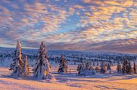 Winterlandschap in Noorwegen van Adelheid Smitt thumbnail