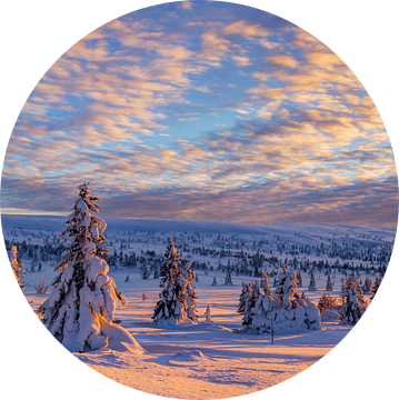 Winterlandschap in Noorwegen