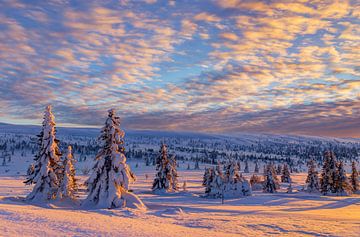 Winterlandschap in Noorwegen van Adelheid Smitt