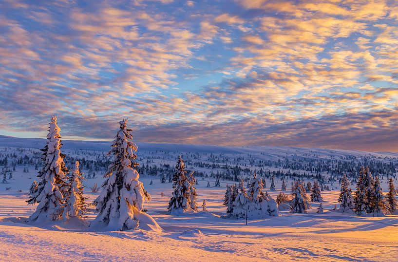 Winter Landscape in Norway by Adelheid Smitt