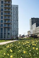 Architecture Anvers