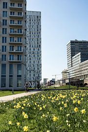 Architecture Antwerp by Tine Schoemaker