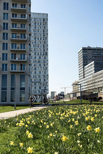 Architecture Antwerp