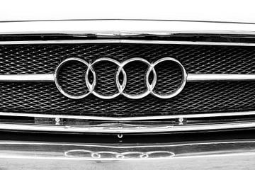 Audi von Elles Rijsdijk