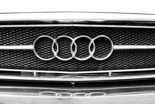 Audi von Elles Rijsdijk