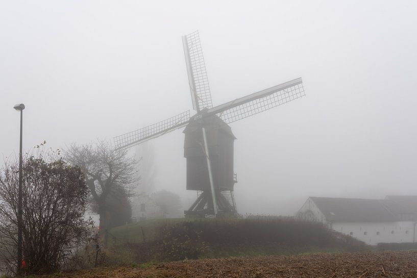 On a beautiful morning with an old mill (Hertboommolen) by Marcel Derweduwen