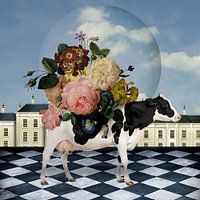 Dutch Cow Parade
