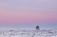 Boom onder roze winterlucht van Karla Leeftink thumbnail