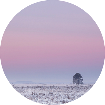 Boom onder roze winterlucht van Karla Leeftink