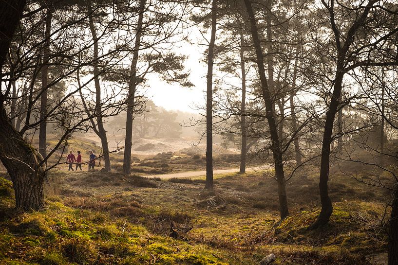 Soesterduinen van Jellie van Althuis