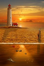 Un regard dans le monde sous-marin