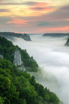 Over de zee van de mist in het Donau-dal van Michael Valjak