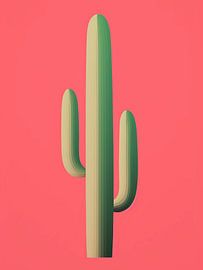 Cacti by haroulita
