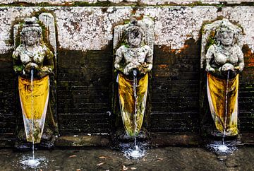 Wasser Statuen am Elefantenhöhle Goa Gajah auf Bali Indonesien von Dieter Walther