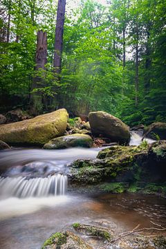 Ilse Falls Green by Tim Lee Williams