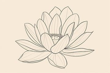 Elegante Lijntekening van Bloeiende Bloem van Imperial Art House