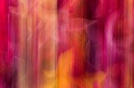 Herfstimpressie van Irene Damminga thumbnail