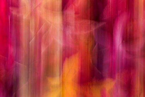 Impression d'automne