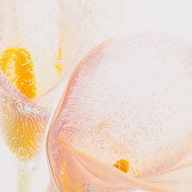 Calla in Eis von Marc Heiligenstein