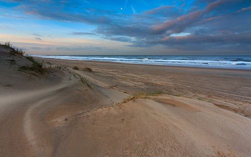 Golvend zand in het ochtendlicht