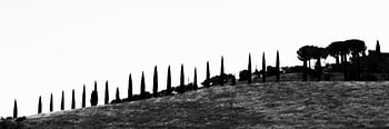 Tuscaans lijnenspel