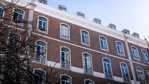 Miradouro da Graça sur Ryan van Pelt