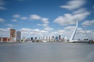 Erasmusbrug Rotterdam von Menno Schaefer Miniaturansicht