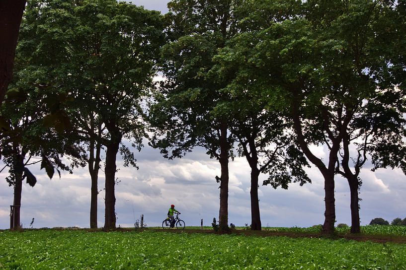 Cycliste par Edgar Schermaul