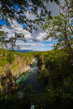 Abisko sur Joyce Schouten