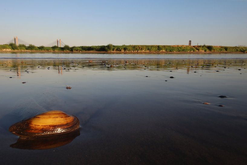 Eenzame Wateren by Kimberly de Pater