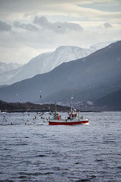 Winter landschap en vissersboot en meeuwen op Godøy, Ålesund, Noorwegen van qtx