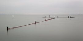 Visnetten Markermeer van Gea Hogeveen