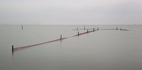Visnetten Markermeer