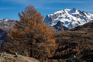 Monte Rosa van Martin Opladen