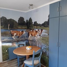 Photo de nos clients: Des vaches heureuses avec la fièvre du printemps par Wim van der Ende, sur fond d'écran