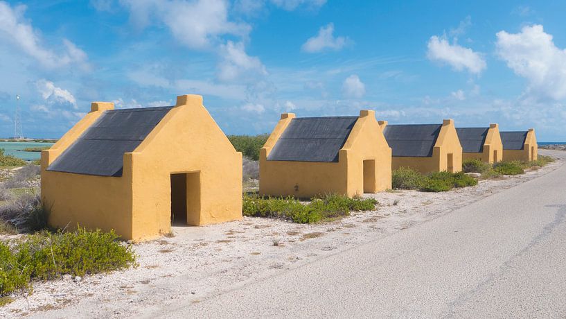 slavehouses by Ivana Luijten