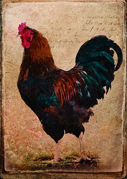 Vintage Rooster by Western Exposure