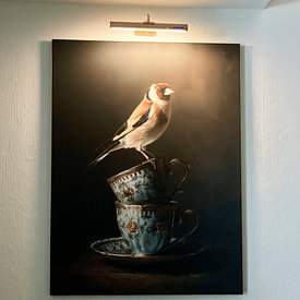 Kundenfoto: Distelfink auf Vintage-Tassen in sanftem Licht von But First Framing, als ArtFrame