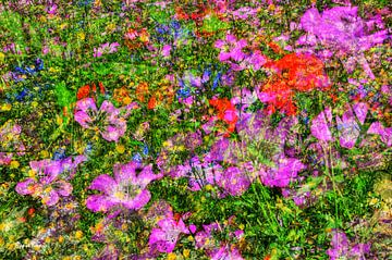 bloemenveld impressionisme van appie bonis
