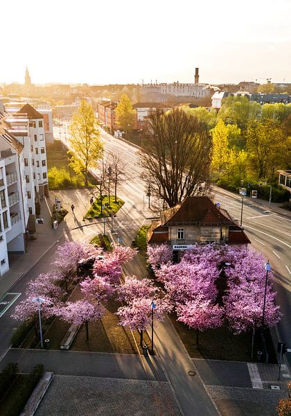 Lente in het factureringscentrum van Fürth van Faszination Fürth