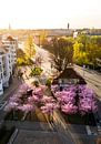 Lente in het factureringscentrum van Fürth van Faszination Fürth thumbnail