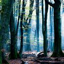 The Blue Forest by Simone Karis thumbnail