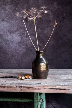Autumn still life with hogweed and acorns by Affect Fotografie