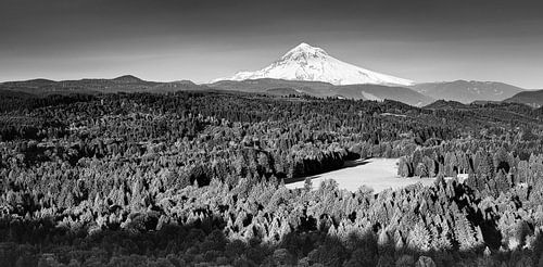 Panorama of Mount Hood in black and white
