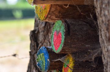 Gekleurde boomstammen in een boom van Kim De Sutter