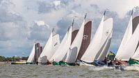 Algemene terugroep