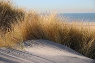 Helmgras in de zon in de duinen bij het strand van Monster met zee op achtergrond par André Muller Aperçu