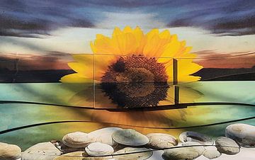 Zonnebloem, strand, schelpen en lucht. Digitaal fotowerk. Lijkend een ondergaande zon