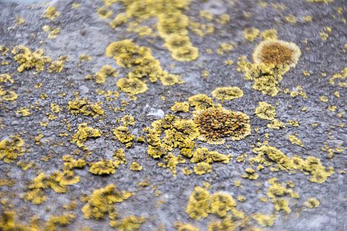 New world beyond humanity