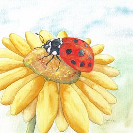 Lieveheersbeestje op een gele bloem van Sandra Steinke